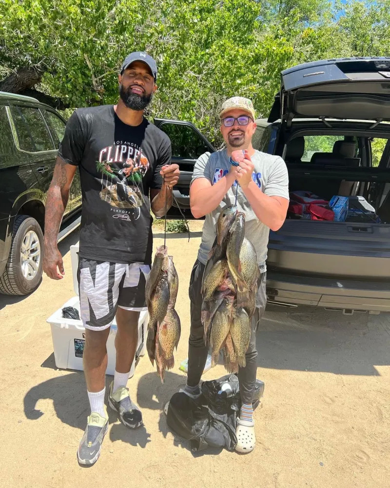 球迷奉上了 球迷奉上了