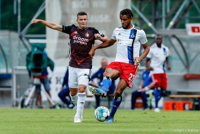 结语和展望 结语和展望